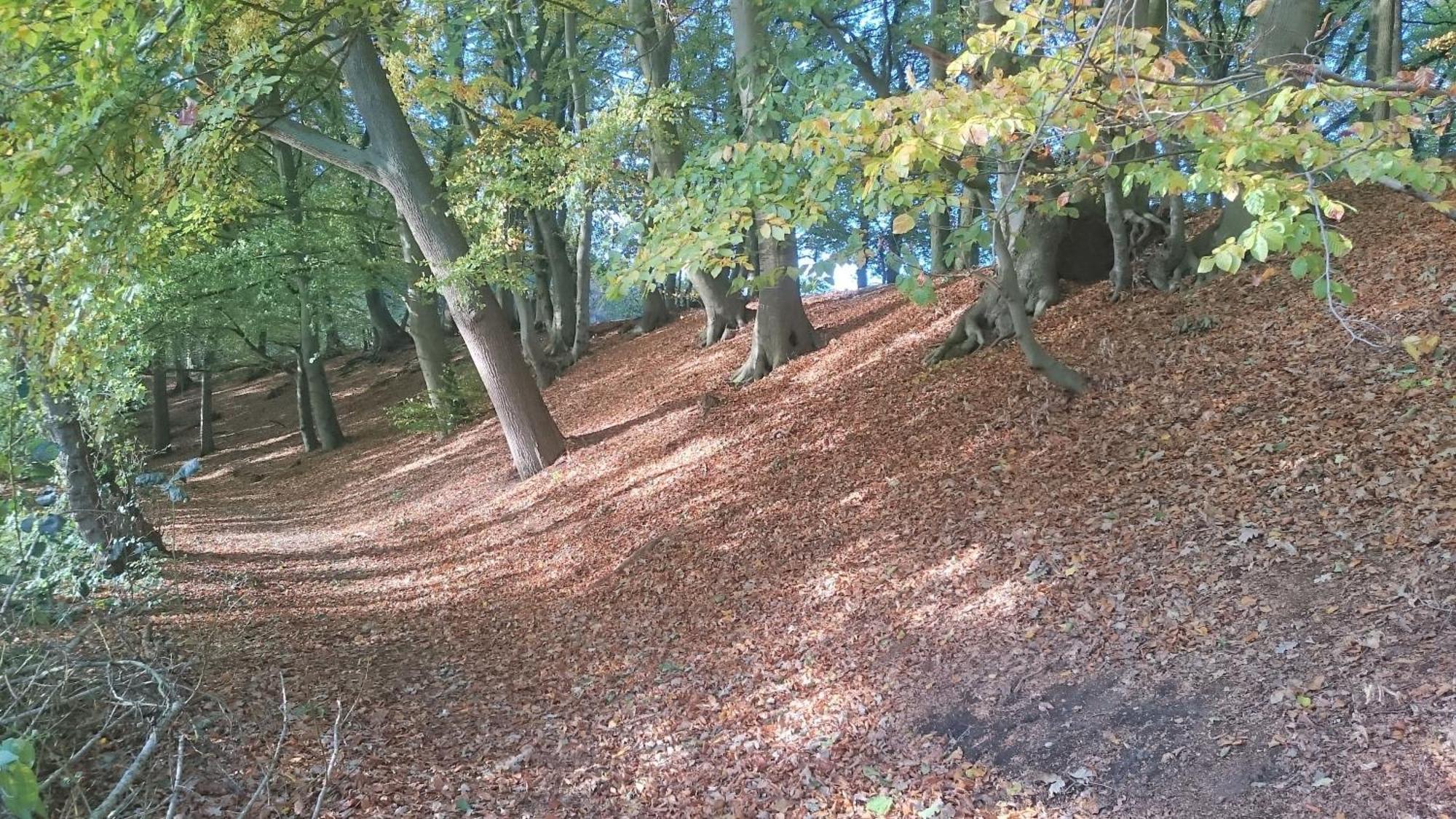 Mobilheim Am See Wittenborn Extérieur photo